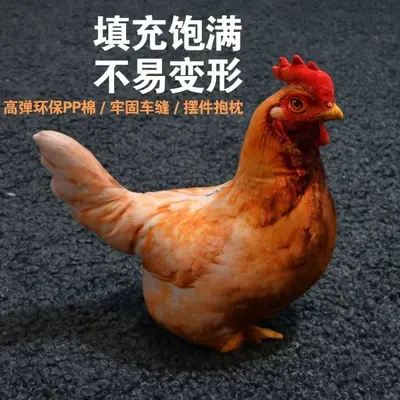 Cute Realistic Hen Plush Toy, Sleeping Companion Pillow