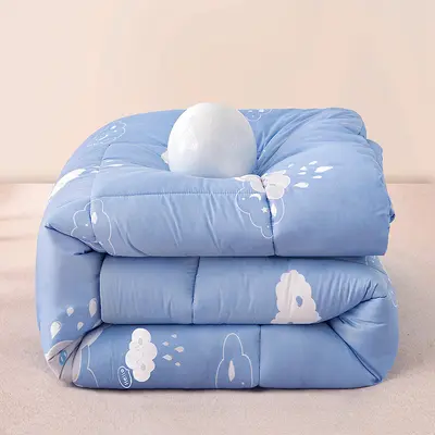 Water-Washed Cotton Quilt Spring Autumn Thick Warm Quilt Core Student Dormitory Single Double Cotton Quilt - 12