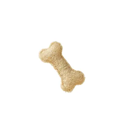 Natural Loofah Cat Toy with Catnip, Chew-Resistant - 6