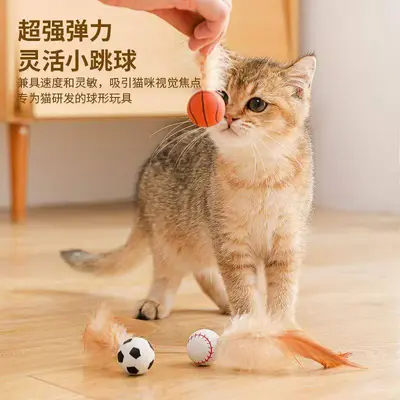 Elastic Feather Cat Toy Ball, Self-Play, Cat Teaser Wand - 4