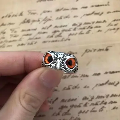 Kreativer süßer Eulenring für Frauen, Glücksbringer Schmuck für Männer, Vintage-Stil, nicht verblassendes 925er Silberschmuck, grenzüberschreitender Großhandelsverkauf. - 12