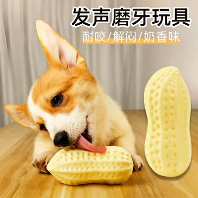 Köpek sesli oyuncağı, PVC fıstık, Corgi için - 8