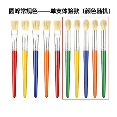 10-piece pig bristle brush set with plastic handles for art and drawing - 13