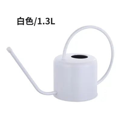 Retro Stainless Steel Watering Can, Large Capacity, Long Spout - 8