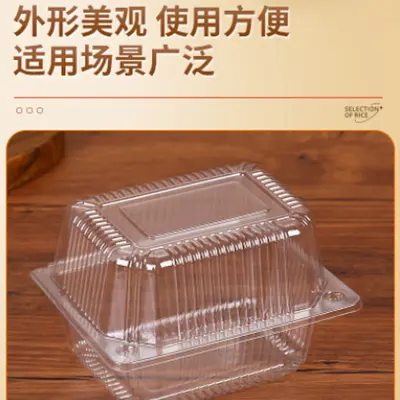 Disposable plastic pasta box transparent bubble cake box baking bulk box rectangular appetizer packaging food box - 4