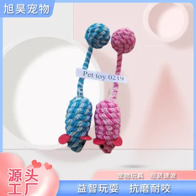 Elastic Rope Cat Toy with Feathers, Bite-Resistant - 1