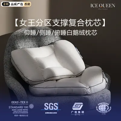 Queen Size Goose Down Pillow Insert, 48x74 cm, Low Profile - 8