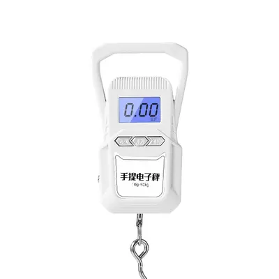 Portable electronic scale with built-in tape measure and hook