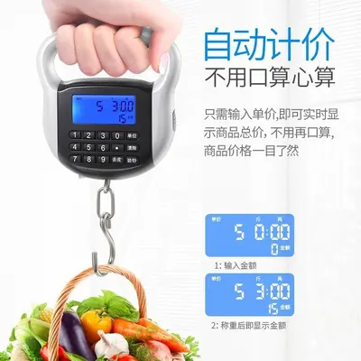 cnw计价秤充电手提秤卖菜秤台秤电子秤快递秤买菜秤弹簧称吊钩称