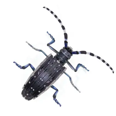Acrylic 3D Insect Puzzle Model with Building Blocks - 13