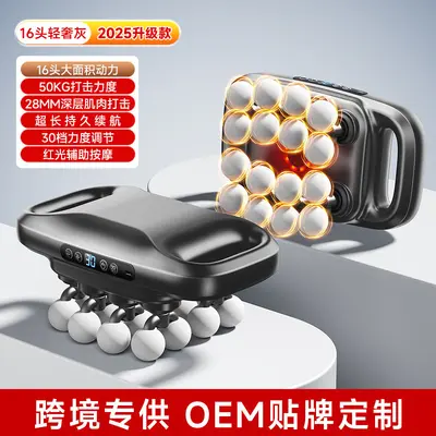 16-Head Professional Massage Gun, High-Torque Muscle Massager - 10