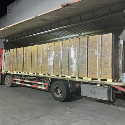 Kanada kargo acentesi, uluslararası hava ve deniz yolu nakliyesi, gümrükleme