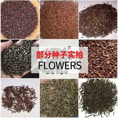 Karışık çiçek tohumu seti, 9 çeşit (kozmos, ayçiçeği, lotus ve diğerleri)