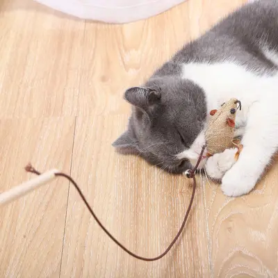 Katzenangel-Set mit 7 Teilen, austauschbare Mäuse und Federn - 4