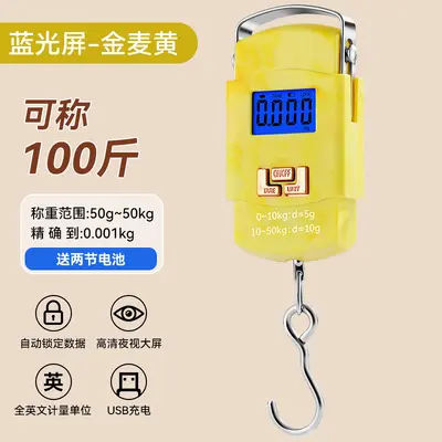 High-precision fishing express scale portable hand scale electronic weighing scale gram scale accurate vegetable sales spring hanging scale electronic balance - 8