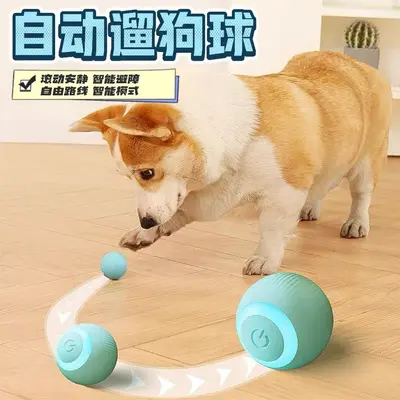 智能电动逗猫球自动滚滚球Type-C充电解闷自嗨猫玩具跳跳球宠物狗