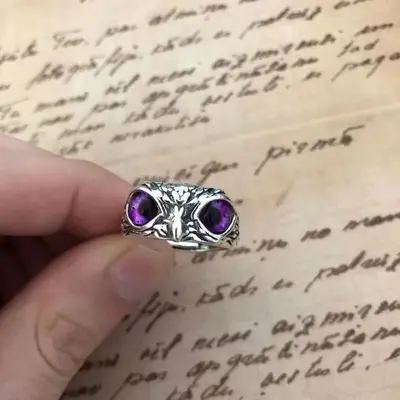 Kreativer süßer Eulenring für Frauen, Glücksbringer Schmuck für Männer, Vintage-Stil, nicht verblassendes 925er Silberschmuck, grenzüberschreitender Großhandelsverkauf. - 11
