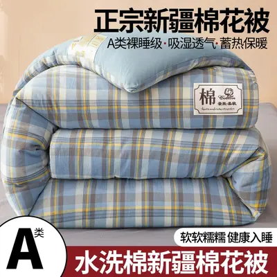 Class A Xinjiang Cotton Quilt, Thickened, Single Size - 8