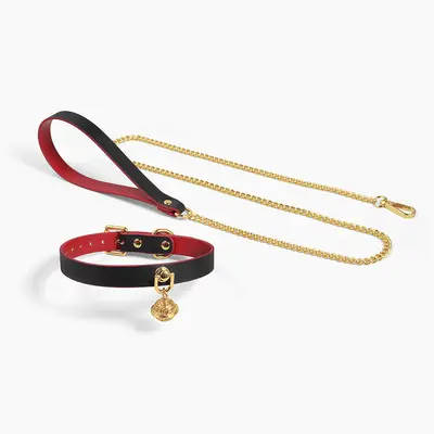 Gold Small Bell Dog Collar with Leash, Women's Pull Rope - 2