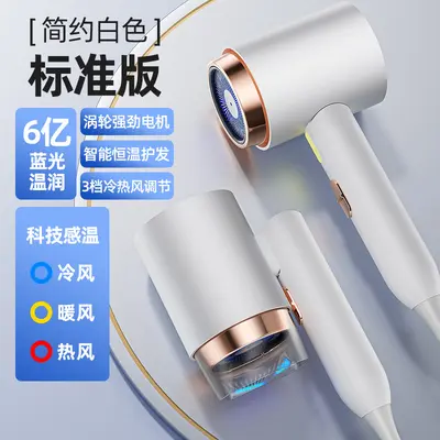 High-Power Hair Dryer with Constant Temperature and Hot/Cold Air for Hotels and Salons - 9