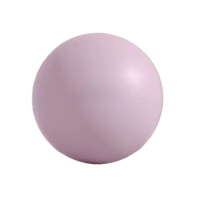 PVC Mini Yoga Topu 25cm Pilates Küçük Topu Pelvik Taban Kas Antrenmanı Fitness Kalın Patlamaya Dayanıklı Mat Buğday Tüpü Topu - 5