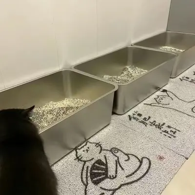 Stainless Steel Cat Litter Box, Extra Large, Thickened, Splash-Proof