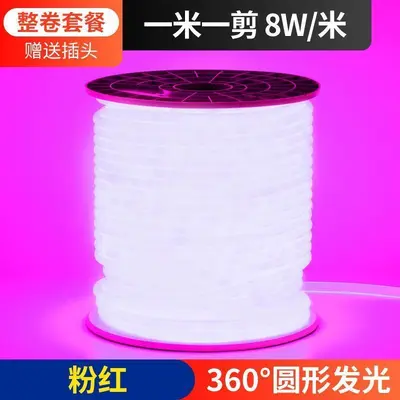 220V Esnek LED Işık Şeridi Ağaca Sarılabilir LED Işık Şeridi Yuvarlak Açık Hava Su Geçirmez Neon Işık Atmosfer Reklamı Aydınlatma Şeridi - 13