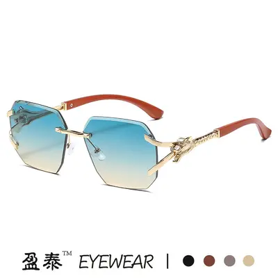 Frameless Square Sunglasses with Leopard Print Temples - 3