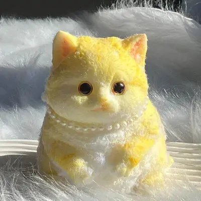 Hand-Painted Giant Chubby Cat Squishy Stress Relief Toy, DIY - 10