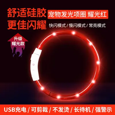 Rechargeable Light-Up Collar for Dogs and Cats - 12