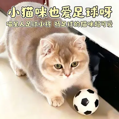 Katzenspielzeug-Set mit Schwammbällen, Elastikball und Katzenangel - 7