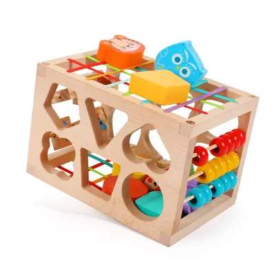 12-Hole Shape Matching Intelligence Box with 19 Building Blocks - 7
