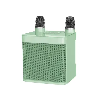 YS203K Karaoke Speaker with Wireless Bluetooth and Dual Microphones - 12