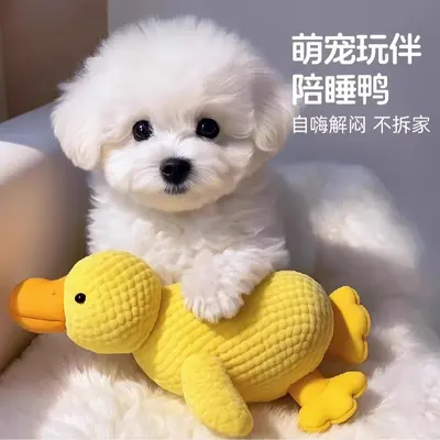 Squeaky Plush Yellow Duck Dog Toy for Small to Large Breeds