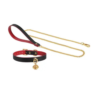 Gold Small Bell Dog Collar with Leash, Women's Pull Rope - 8