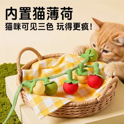 猫玩具小番茄柿子串逗猫棒猫咪自嗨解闷神器耐咬带铃铛逗猫咪玩具 - 1