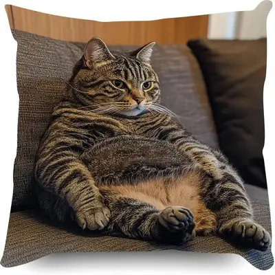 Grenzüberschreitender TEMU-Bestseller Katzenkuscheltier-Kissenbezug mit Digitaldruck ultraweich Wohnzimmer Sofakissen Dekokissenbezug