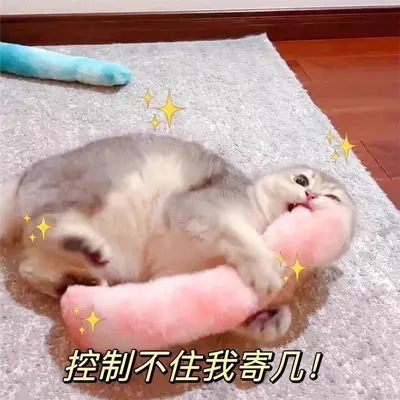 猫薄荷自磨牙棒小发声逗猫棒球耐解闷猫玩具剑麻猫咪用品嗨咬