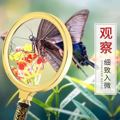 High Magnification Large Multifunctional Magnifying Glass for Reading and Repair