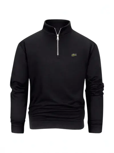 Half-Zip Terry Loop Sweatshirt with Embroidery, Autumn Winter