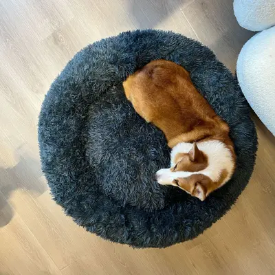 Long Plush Cat and Dog Bed Mat, All Sizes, All Seasons - 7