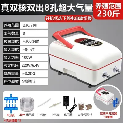 Rechargeable Outdoor Oxygen Pump, Lithium Battery, AC/DC - 7