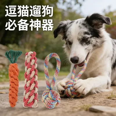 Köpek Oyuncağı Seti: Frizbi, Halatlı Top ve Havuç Diş Kaşıma Oyuncağı - 4