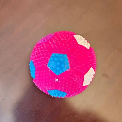 Durable Chew-Resistant Dog and Cat Ball Toy with Squeaker