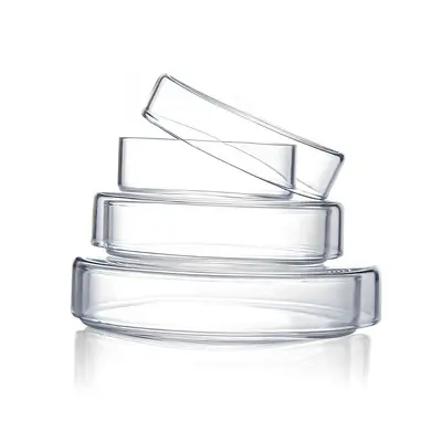 Petrischale aus Hochborosilikatglas