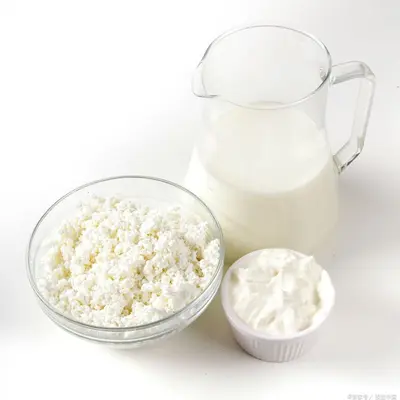 Probiyotik protein tozu, %90 protein, özel diyet takviyesi - 6