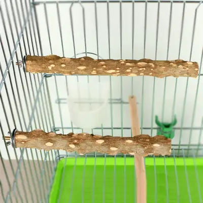 Parrot Standing Perch Stand with Claw Grinding Wood Stick