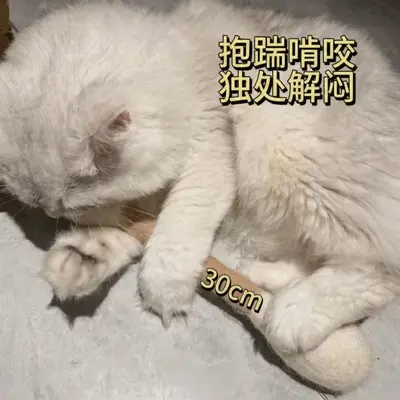 Cat Toy 100% Pure Wool Cotton Swab Cat Teaser with Catnip - 5