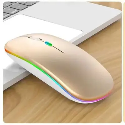 Kaynak Fabrikası RGB Çift Modlu Kablosuz Dizüstü Bilgisayar Faresi Düşük Gürültülü Type-C Şarj Stokta Toptan - 11