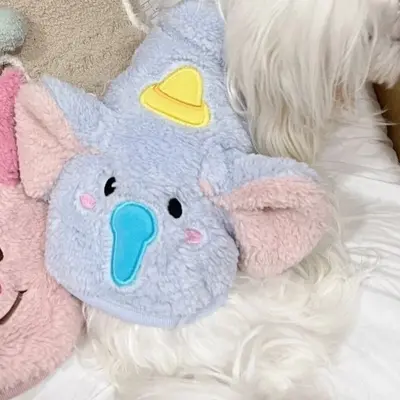 Köpek Kıyafeti Yelek, Sonbahar Kış, İnce, Nefes Alabilen